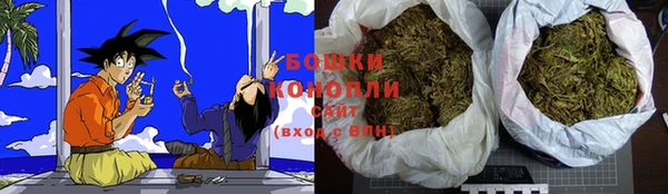 PSILOCYBIN Новодвинск