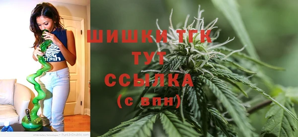 PSILOCYBIN Новодвинск