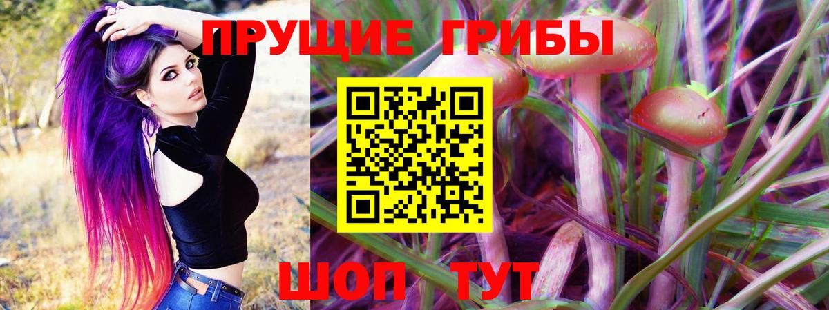 Галлюциногенные грибы Magic Shrooms  Ахтубинск  где можно купить наркотик  Галлюциногенные грибы Psilocybe 